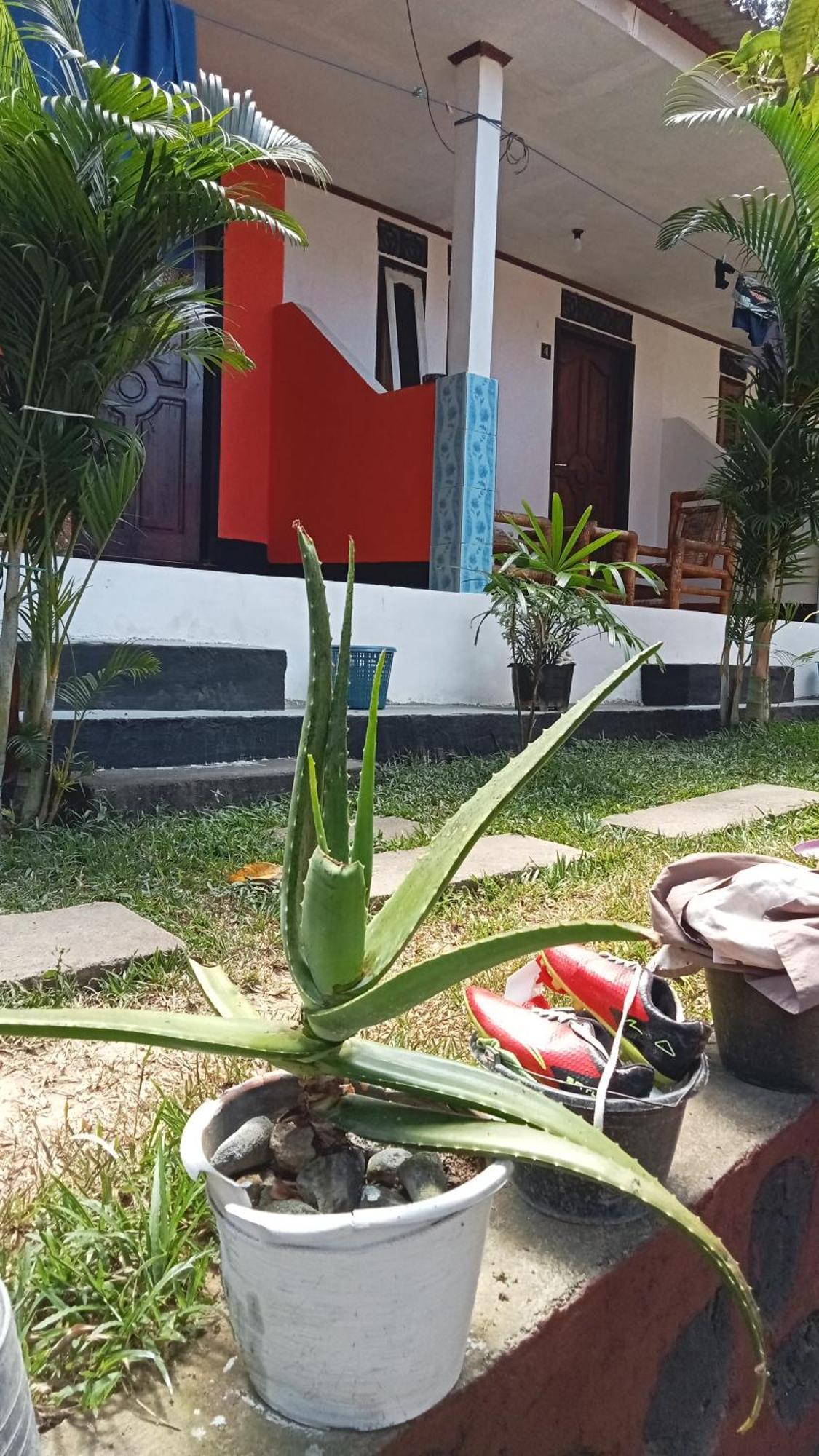 Roy Homestay Kuta Kuta  Exterior photo
